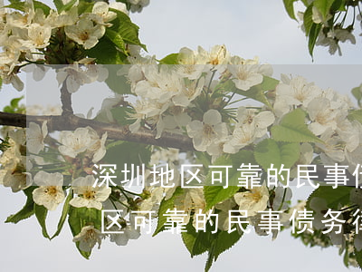 深圳地区可靠的民事债务律师网站-深圳地区可靠的民事债务律师网站有哪些