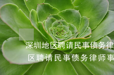 深圳地区聘请民事债务律师事务所-深圳地区聘请民事债务律师事务所多少钱