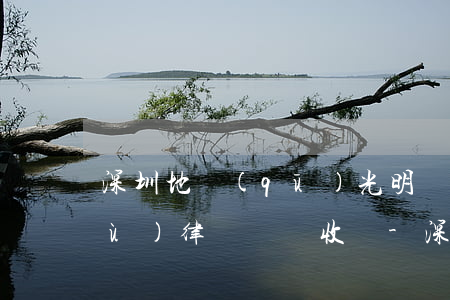深圳地區(qū)光明區(qū)債務(wù)律師團隊收費-深圳地區(qū)光明區(qū)債務(wù)律師團隊收費多少
