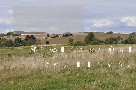 深圳地區(qū)南山區(qū)債權(quán)債務(wù)律師團隊-深圳地區(qū)南山區(qū)債權(quán)債務(wù)律師團隊有哪些