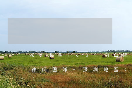 深圳地區(qū)南山區(qū)債權債務律師團隊-深圳地區(qū)南山區(qū)債權債務律師團隊有哪些