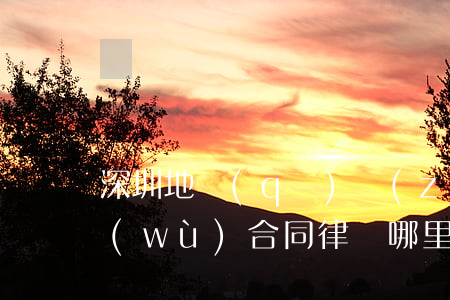 深圳地區(qū)專(zhuān)做債務(wù)合同律師哪里找-深圳債務(wù)律師咨詢(xún)