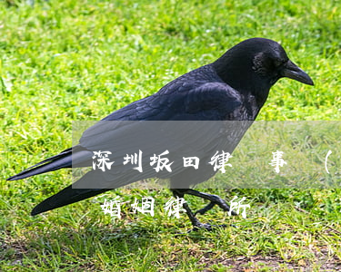 深圳坂田律師事務(wù)所婚姻(廣州資深婚姻律師所)