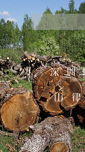 深圳坪山律師事務(wù)所哪家好(深圳坪山律師事務(wù)所在哪里)