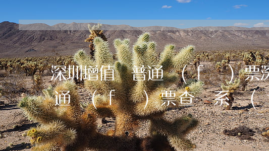 深圳增值稅普通發(fā)票(深圳增值稅普通發(fā)票查詢系統(tǒng))