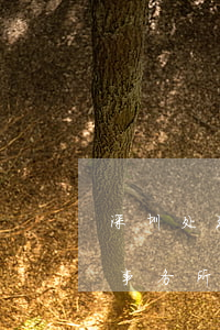 深圳处理交通事故的专业律师(深圳宝安律师事务所前十名)