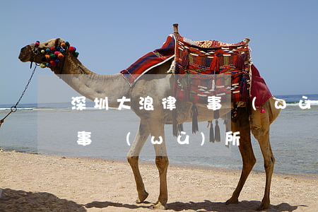 深圳大浪律師事務(wù)所(深圳廣深律師事務(wù)所)