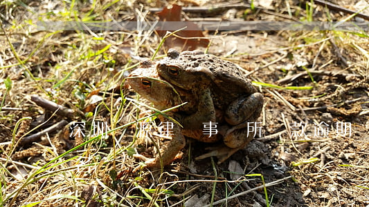 深圳寶源律師事務所貸款逾期 廣東寶源律師名單