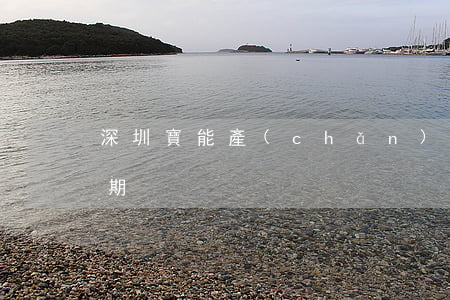 深圳寶能產(chǎn)品逾期(寶能利息逾期)