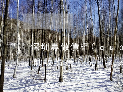 深圳專做債權(quán)債務(wù)律師收費標(biāo)準(zhǔn)(深圳專做債權(quán)債務(wù)律師收費標(biāo)準(zhǔn))