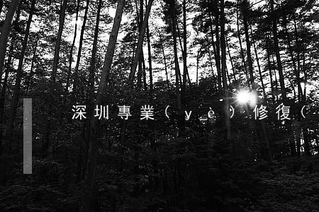 深圳專業(yè)修復(fù)信用卡逾期