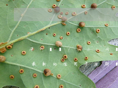 深圳專業(yè)修復(fù)信用卡逾期(最新的信用卡逾期處理)
