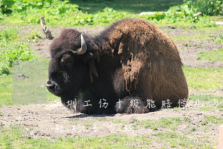 深圳工伤十级能赔偿几万元(在深圳十级工伤能赔多少钱)