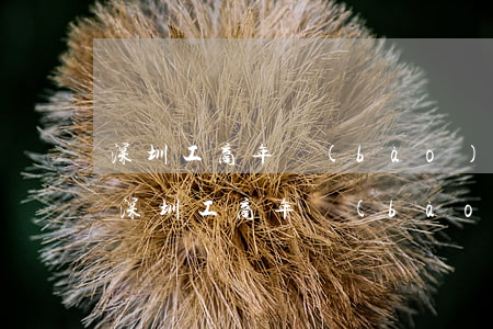深圳工商年報(bào)逾期補(bǔ)-深圳工商年報(bào)逾期補(bǔ)