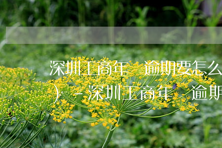 深圳工商年檢逾期要怎么才能申報(bào)-深圳工商年檢逾期要怎么才能申報(bào)呢