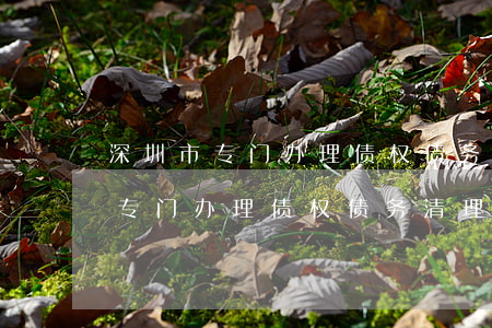 深圳市专门办理债权债务清理律师-深圳市专门办理债权债务清理律师事务所