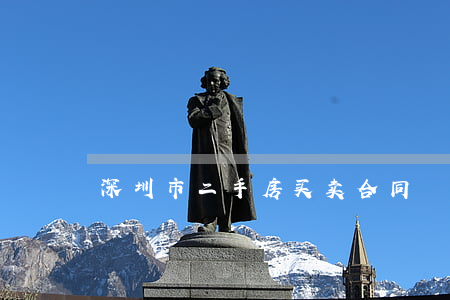 深圳市二手房买卖合同