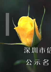 深圳市信用卡逾期人名單(深圳第一批失信人公示名單)