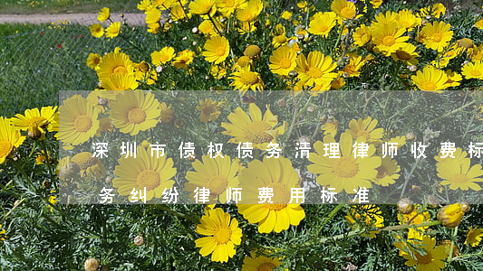 深圳市债权债务清理律师收费标准-深圳债务纠纷律师费用标准