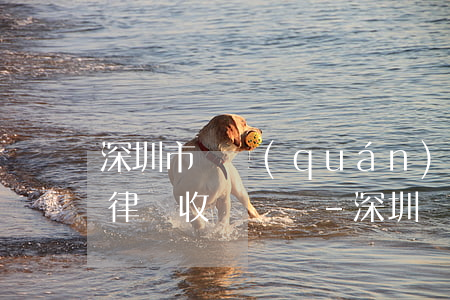 深圳市債權(quán)債務(wù)清理律師收費標準-深圳債務(wù)糾紛律師費用標準