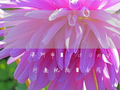 深圳市動(dòng)產(chǎn)拍賣行委托拍賣合同