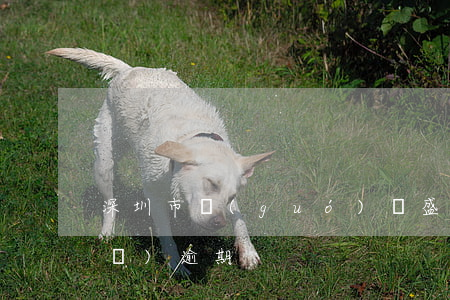 深圳市國(guó)銀盛達(dá)發(fā)逾期
