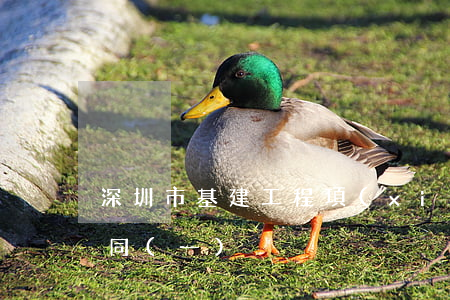 深圳市基建工程項(xiàng)目施工合同(一)