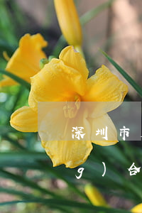 深圳市外商投資企業(yè)勞動(dòng)合同書