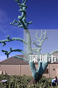 深圳市婚姻繼承律師(重慶專做婚姻繼承律師)