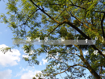 深圳市寶安區(qū)法律援助中心(深圳寶安區(qū)法律援助免費熱線)