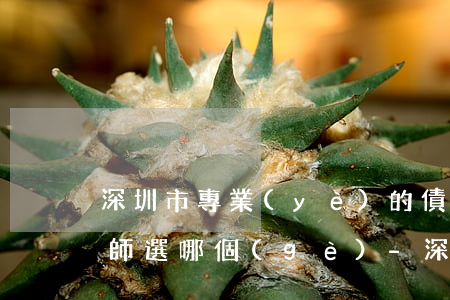 深圳市專業(yè)的債務(wù)合同律師選哪個(gè)-深圳債務(wù)律師事務(wù)所