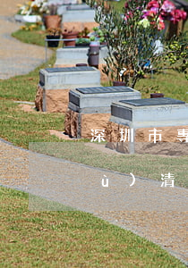 深圳市專門辦理債權(quán)債務(wù)清理律師-深圳市專門辦理債權(quán)債務(wù)清理律師事務(wù)所