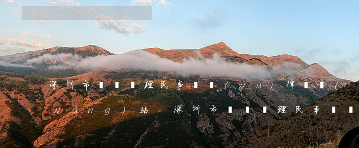 深圳市專門辦理民事債務(wù)律師網(wǎng)站-深圳市專門辦理民事債務(wù)律師網(wǎng)站有哪些