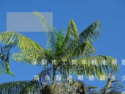 深圳市工商年報逾期罰款多少錢-深圳市工商年報逾期罰款多少錢一個月