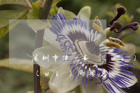 深圳市律師事務(wù)所(深圳市律師事務(wù)所排名)