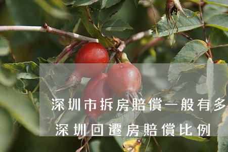 深圳市拆房賠償一般有多少錢(qián)(深圳回遷房賠償比例)