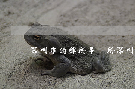 深圳市的律所事務所(深圳深港律師事務所)