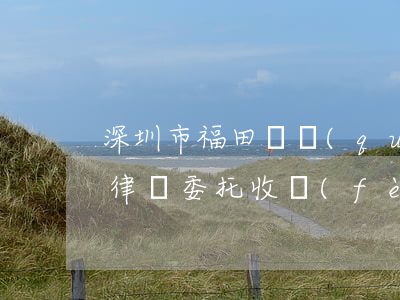 深圳市福田債權(quán)債務(wù)律師委托收費(fèi)-福田欠款律師