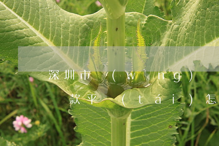 深圳市網(wǎng)貸統(tǒng)一還款平臺(tái)怎么注銷-深圳網(wǎng)貸統(tǒng)一還款平臺(tái)真假