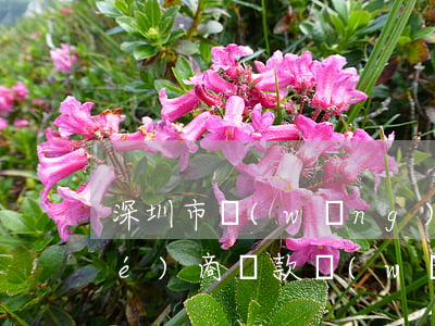 深圳市網(wǎng)貸逾期怎么協(xié)商還款 網(wǎng)貸逾期 協(xié)商