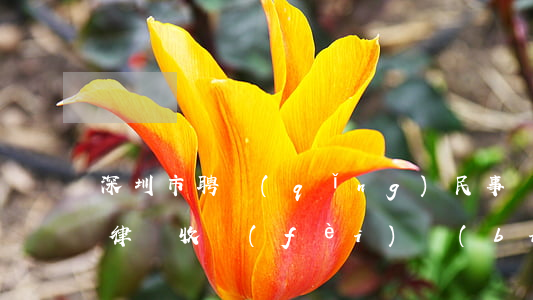 深圳市聘請(qǐng)民事債務(wù)律師收費(fèi)標(biāo)準(zhǔn)-深圳市聘請(qǐng)民事債務(wù)律師收費(fèi)標(biāo)準(zhǔn)是多少