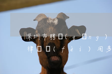 深圳市聘請(qǐng)民事債務(wù)律師費(fèi)用多少-深圳市聘請(qǐng)民事債務(wù)律師費(fèi)用多少錢