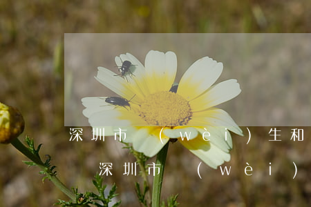 深圳市衛(wèi)生和人口計劃生育委員會(深圳市衛(wèi)生和人口計劃生育委員會電話)