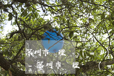 深圳市辦理債務(wù)追收律師收費多少-深圳市辦理債務(wù)追收律師收費多少錢