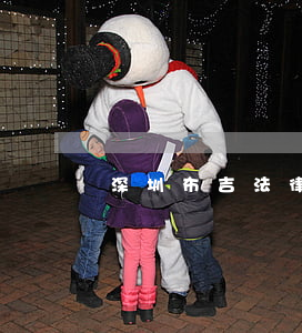 深圳布吉法律援助(深圳布吉法律援助律師電話號碼)