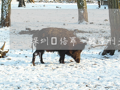 深圳幫信罪一般量刑多少(幫信罪多少錢就能判刑)