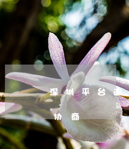 深圳平台逾期还款协商-深圳平台逾期还款协商