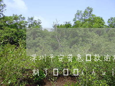 深圳平安普惠貸款逾期(中國平安普惠貸款逾期了沒還會(huì)怎么樣)