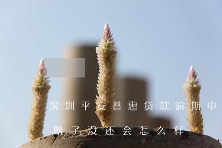 深圳平安普惠贷款逾期(中国平安普惠贷款逾期了没还会怎么样)