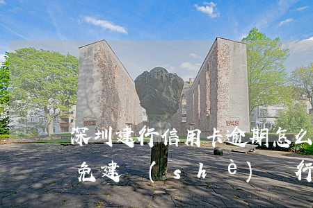 深圳建行信用卡逾期怎么協(xié)商減免(建設(shè)銀行的信用卡逾期了可以減免嗎?)